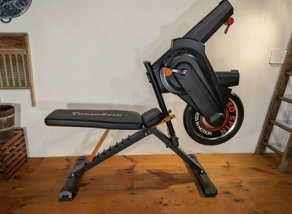 Model 300 - The Bull